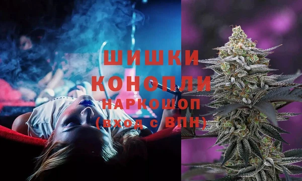 прущие крисы Аркадак